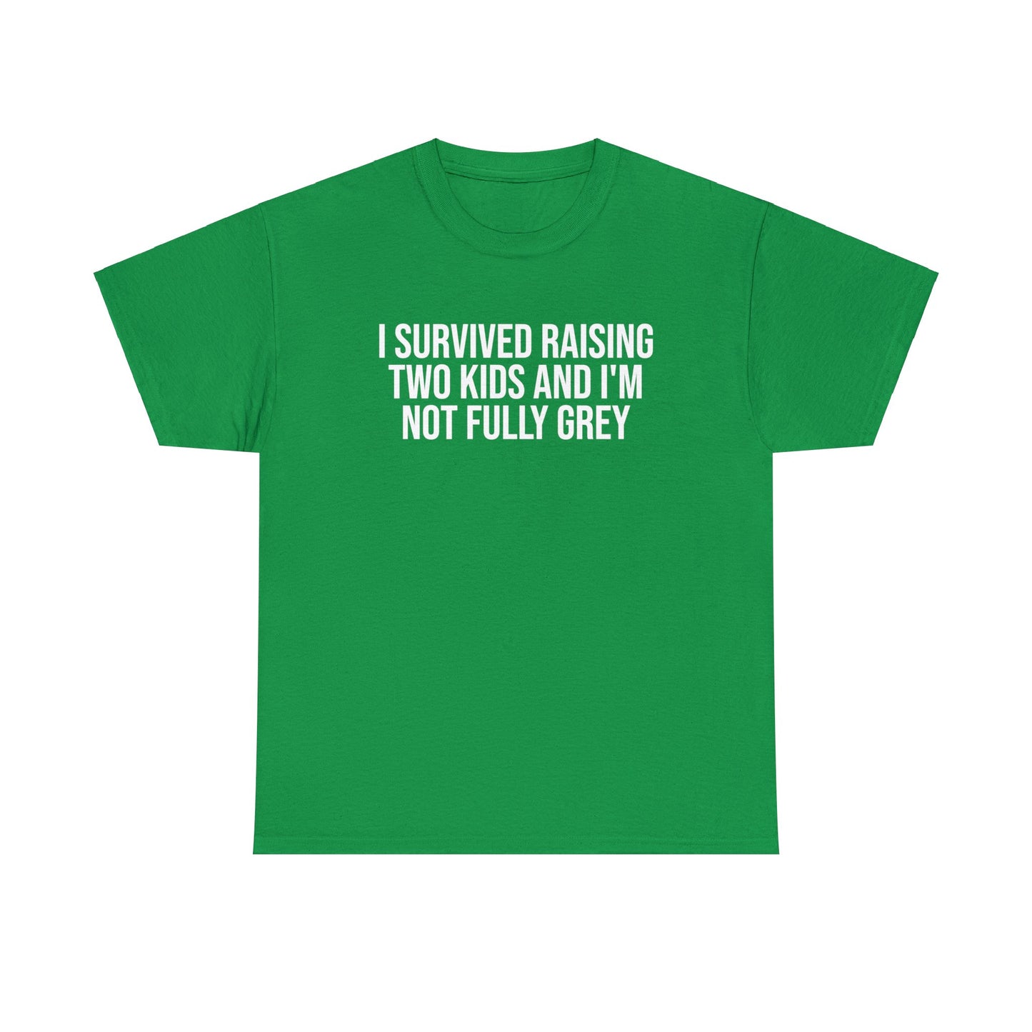 I Survived Raising Two Kids Shirt | Father's Day | Gift For Dad